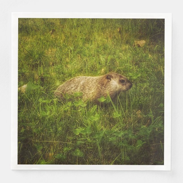 Serviettes Jetables Marmotte de fond dans une serviette de campagne (Devant)
