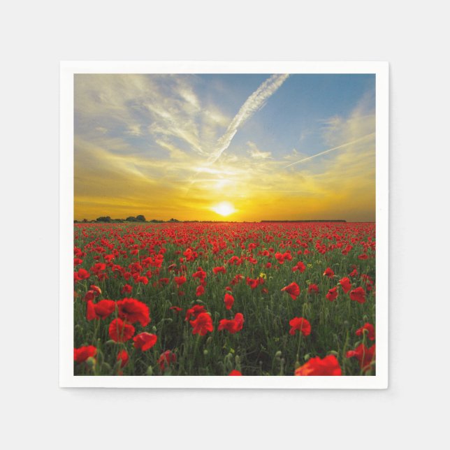 Serviettes Jetables Merveilleux champ de pavot Sunset Horizon (Devant)