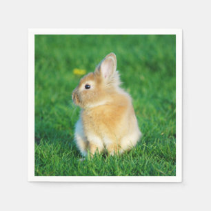 Serviettes Jetables Mignonne Lapin Faune assis dans l'herbe