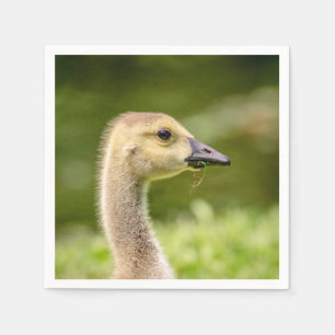 Serviettes Jetables Oie canadienne (Gosling)