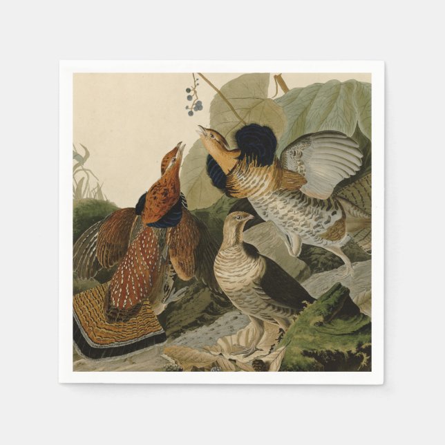 Serviettes Jetables Oiseau de gibier Audubon (Devant)