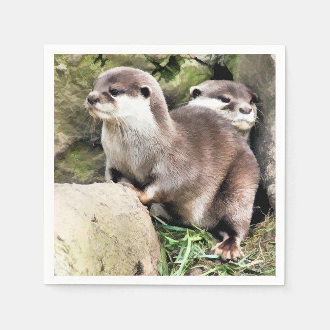 SERVIETTES JETABLES OTTERS (Devant)