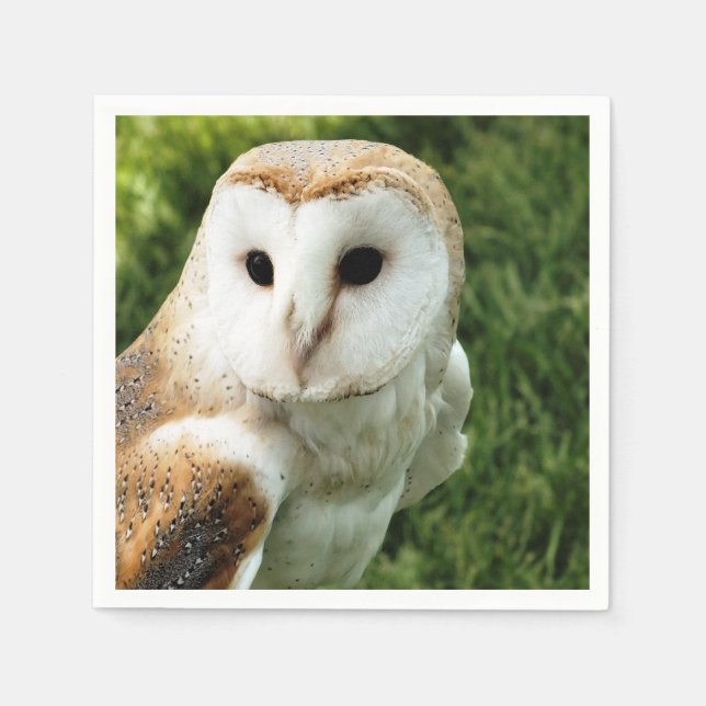 SERVIETTES JETABLES OWLS (Devant)