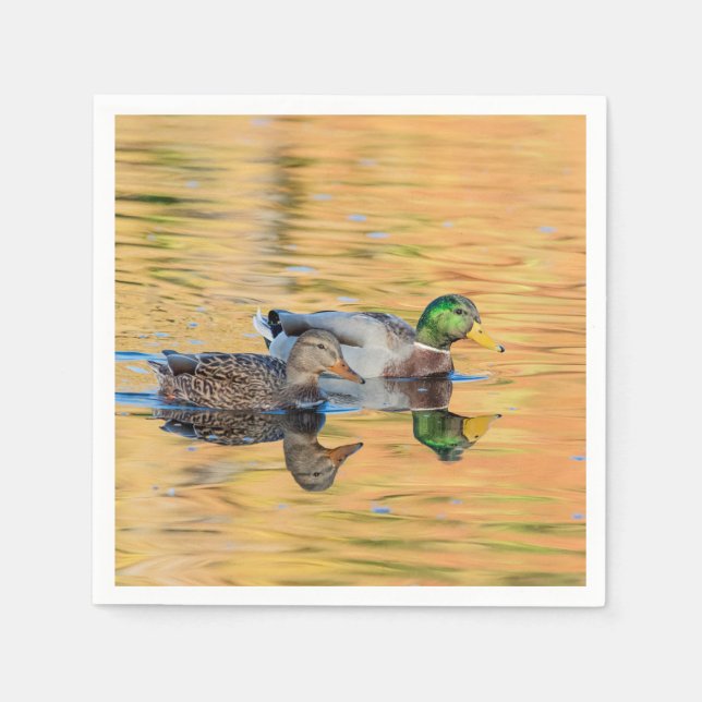 Serviettes Jetables Paire de Mallards (Devant)