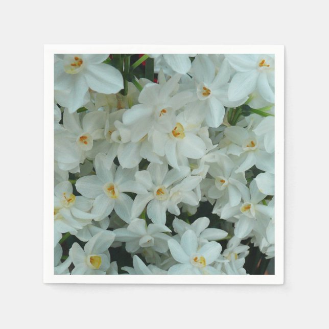 Serviettes Jetables Paperwhite Narcissus Fleurs blanches délicates (Devant)