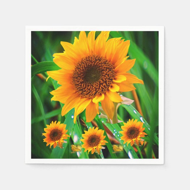 Serviettes Jetables Papier (Devant)