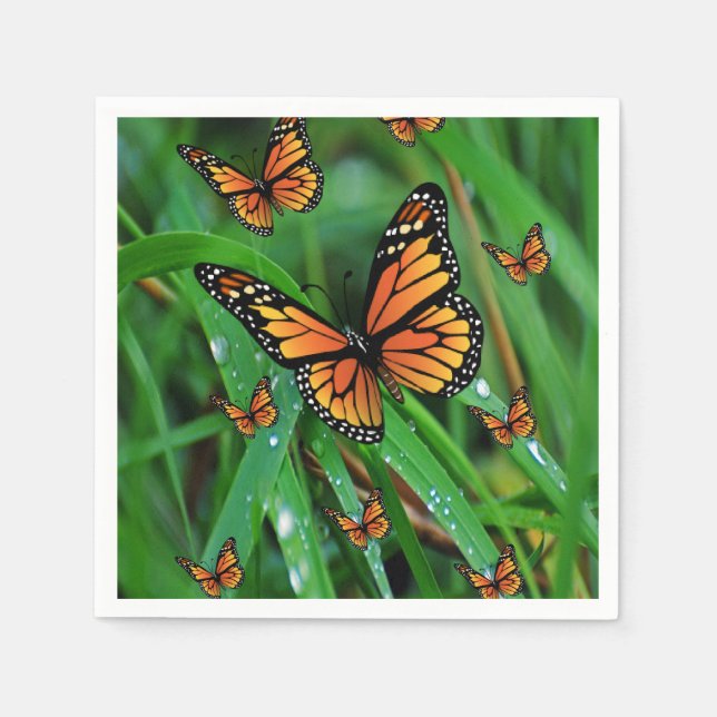 Serviettes Jetables Papier (Devant)