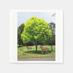 Serviettes Jetables Papier