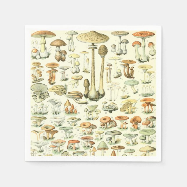 Serviettes Jetables Papier de champignons Napkin (Devant)