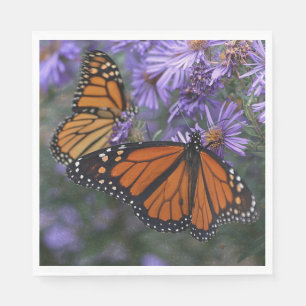 Serviettes Jetables Papillon de monarque