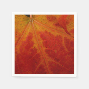 Serviettes Jetables Photographie abstraite de la feuille d'érable roug