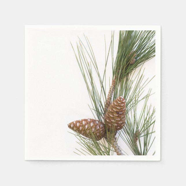 Serviettes Jetables Pine branch and cones (Devant)