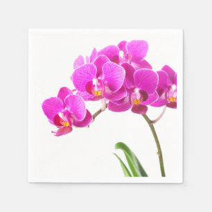 Serviettes Jetables Pink violet Dendrobium Orchidée Fleur tropicale