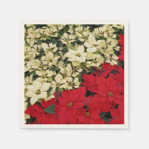Serviettes Jetables Poinsettias blanches et rouges I Holiday Floral