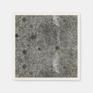 Serviettes Jetables Roche de granit de nature avec de la mousse verte