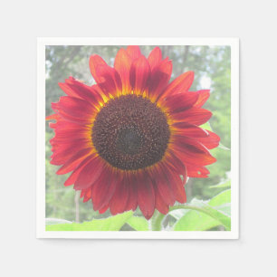 Serviettes Jetables Serre de tournesol rouge rouillé