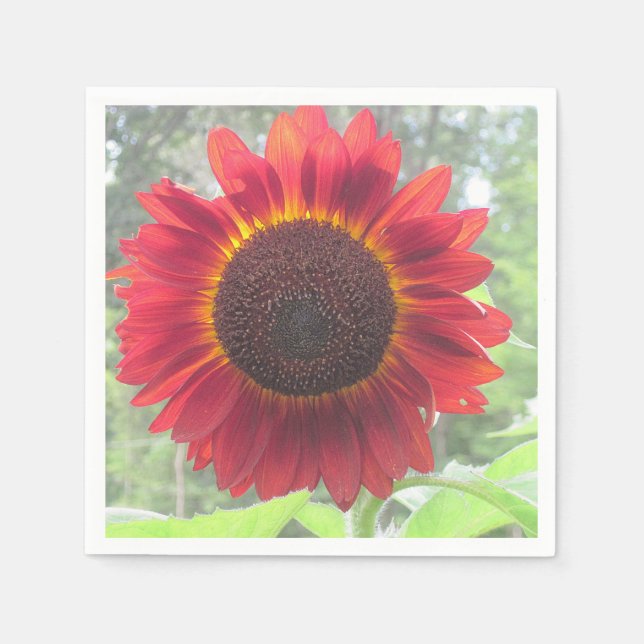 Serviettes Jetables Serre de tournesol rouge rouillé (Devant)