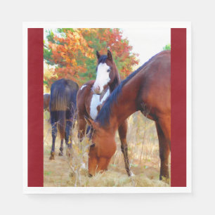 Serviettes Jetables Serviette standard de déjeuner de cheval