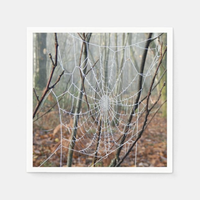 Serviettes Jetables Toile de papier d'araignée européenne serviettes (Devant)