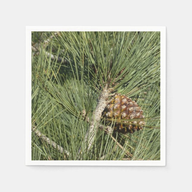 Serviettes Jetables Torrey Pine Closeup California Botanical (Devant)