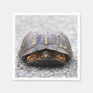 Serviettes Jetables Tortue