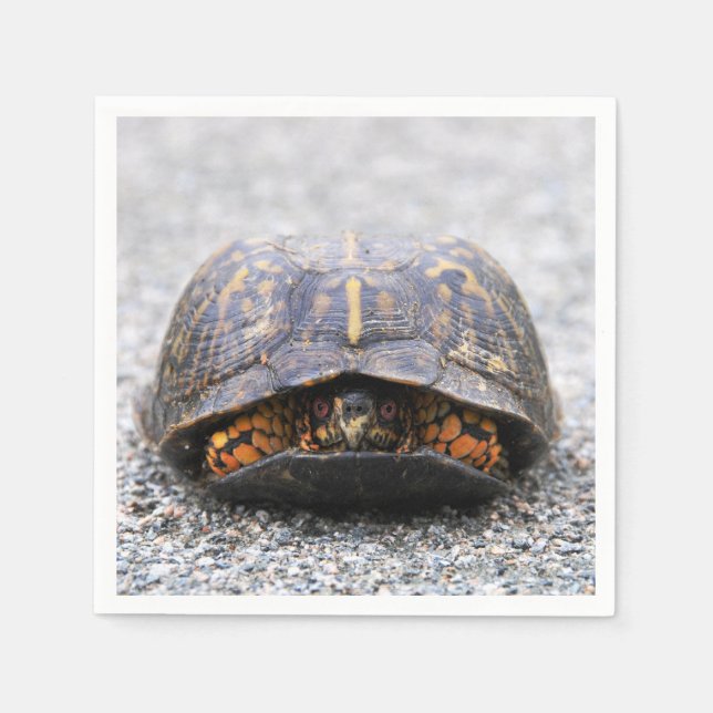 Serviettes Jetables Tortue (Devant)