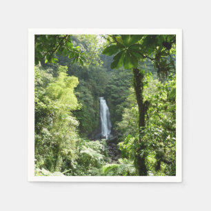 Serviettes Jetables Trafalgar Falls Tropical Rainforest Photographie