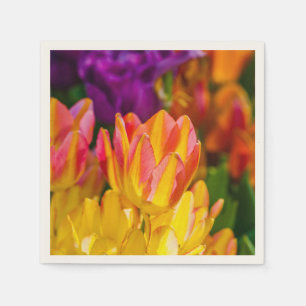 Serviettes Jetables Tulipes Enchanter 16
