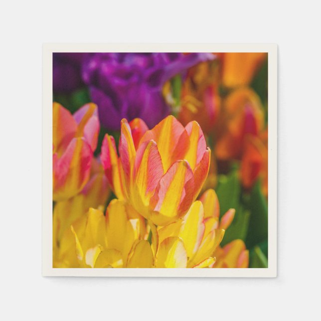 Serviettes Jetables Tulipes Enchanter 16 (Devant)