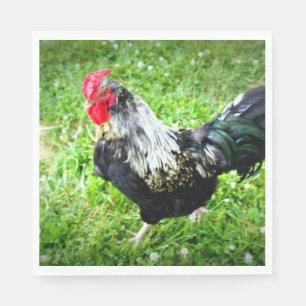 Serviettes Jetables Volaille de ferme