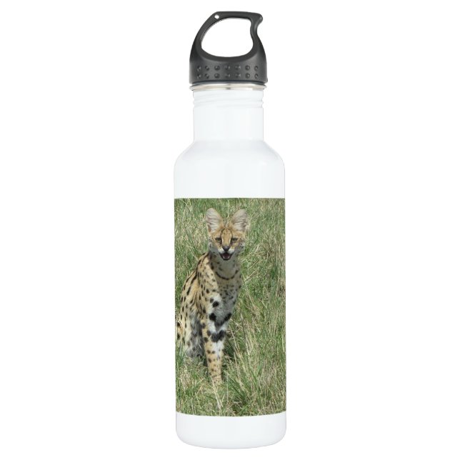 Servkatze Wasserflasche aus nicht rostendem Stahl Edelstahlflasche (Vorderseite)