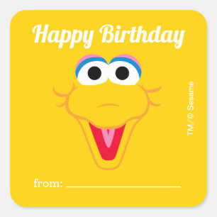 Sesame Street Big Bird   Ein Geschenk von - Geburt Quadratischer Aufkleber