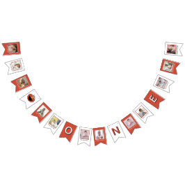 Sesame Street | Elmo First Birthday Bunting Flags Wimpelkette