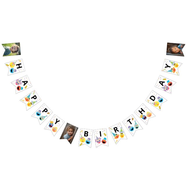 Sesame Street Pals Confetti Birthday Wimpelkette (Alle)