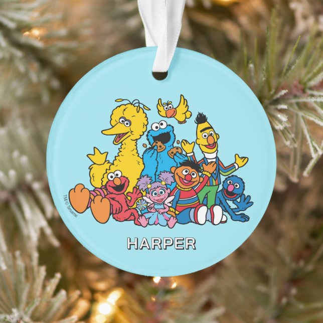 Sesame Street Pals | Customized Name & Photo Ornament (Baum)