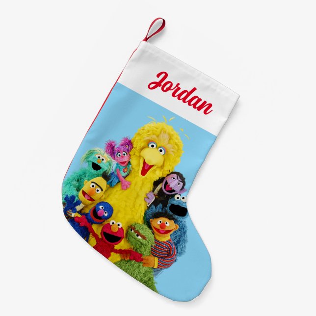 Sesamstraße | Fun Farbiges Portrait Kleiner Weihnachtsstrumpf (Vorderansicht (hängend))