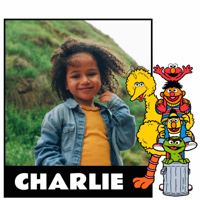 Sesamstraße | Sesame Street Pals Pose Freistehende Fotoskulptur (Vorne)