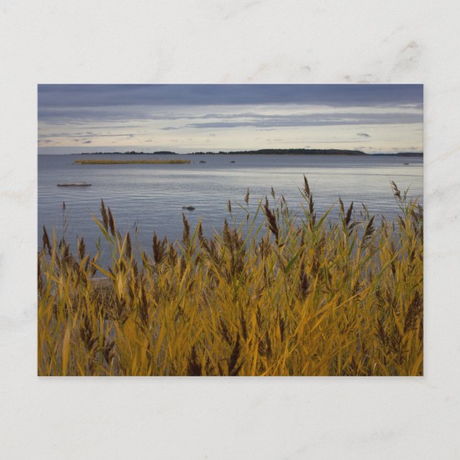 Sescape from Ostrobothnia CC0076 Carte postale (Devant)