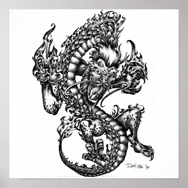 Sessions Dragon Poster (Vorne)