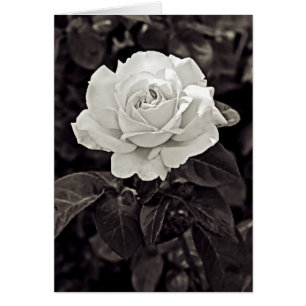 S'est levé en noir et blanc