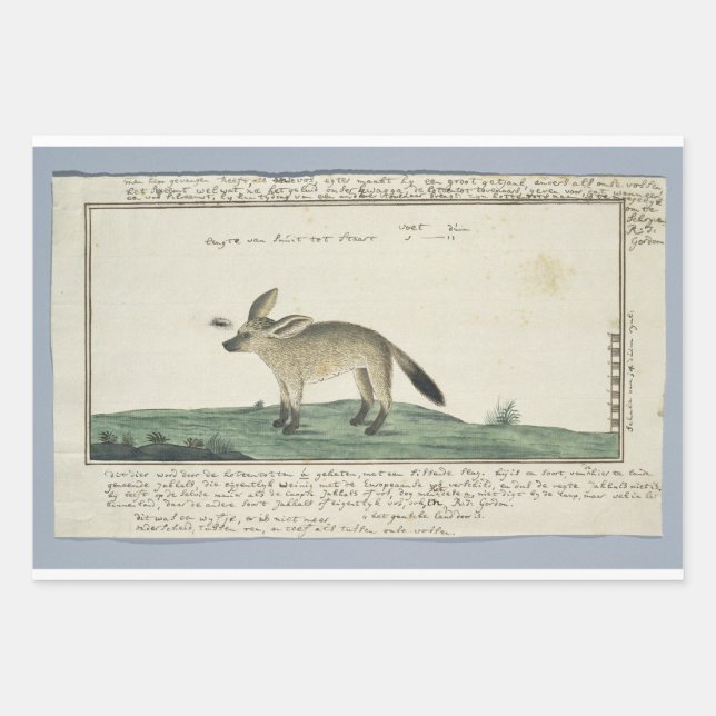 Set aus 3 Überziehpapier Geschenkpapier Set (Vorderseite)