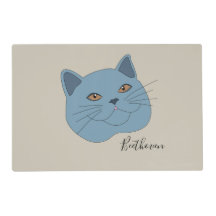 Chat Shorthair