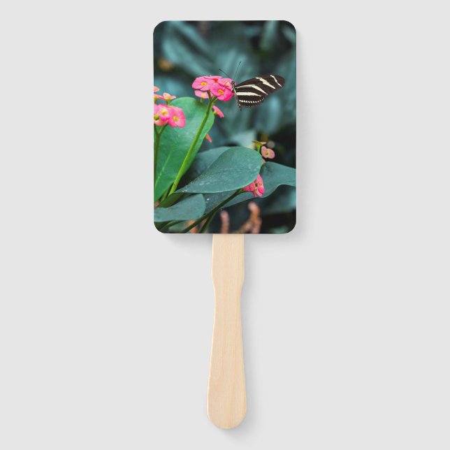 Set der Fans Fächer (Vorderseite)