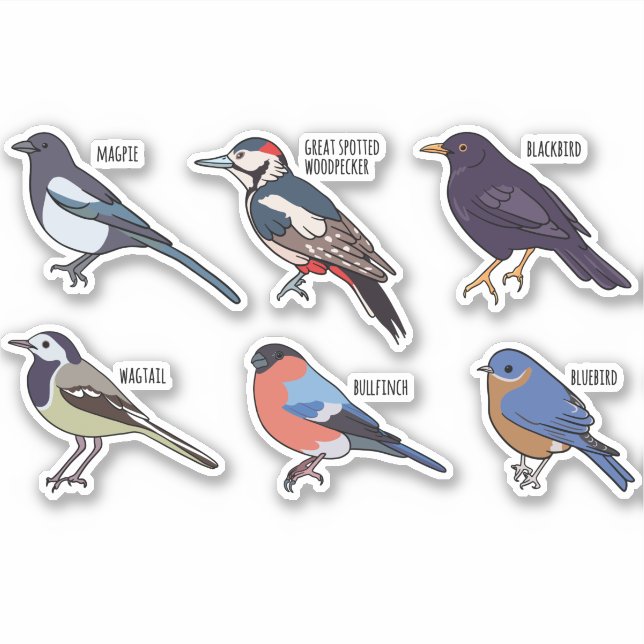 SET DER VOGELARTEN AUFKLEBER (Vorderseite)
