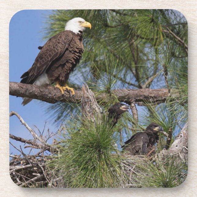 Set des Untersetzer-E10 u. E11 Untersetzer (Vorderseite)