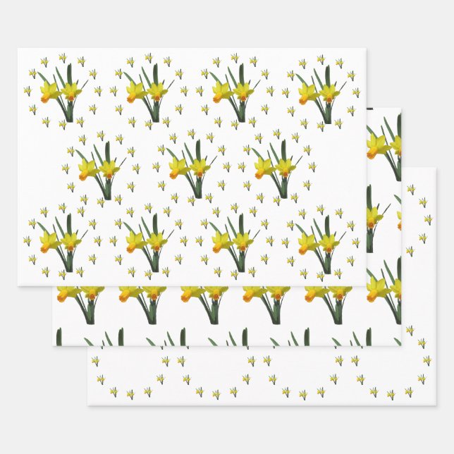 Set für Geschenke - Dickdarmblüten X 3 Geschenkpapier Set (Set)