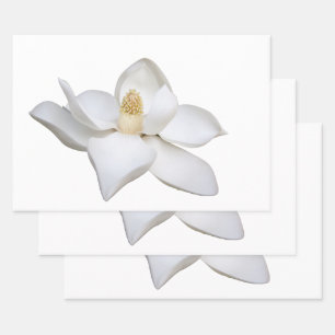 Set Geschenkpapier Set