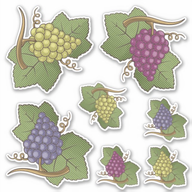 Set-Klebekleber für Trauben Aufkleber (Vorderseite)