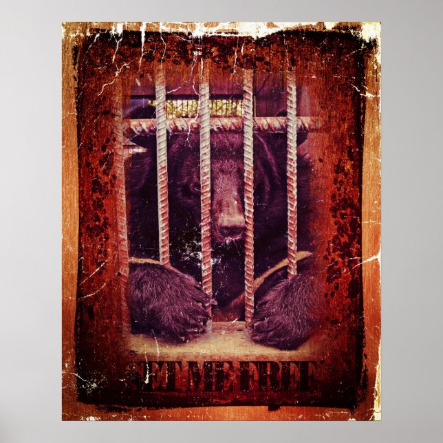 Set mir kostenlos #2 - Poster (Vorne)