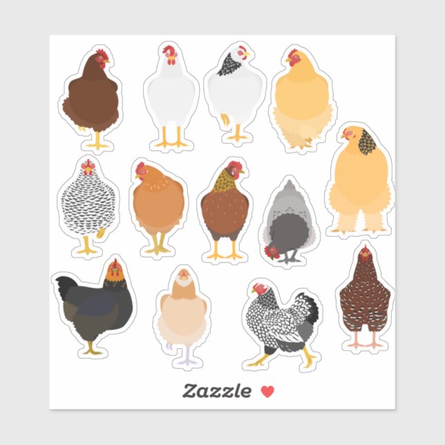 set of various chickens sticker (Feuille)